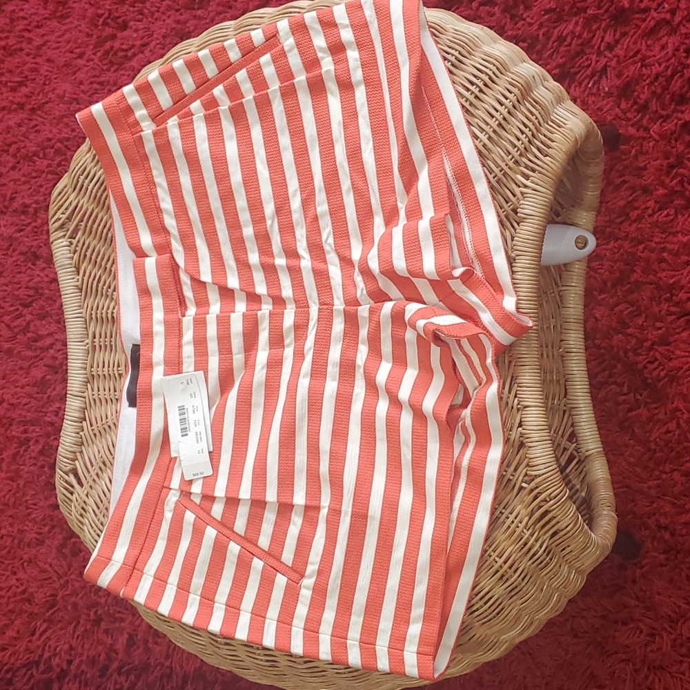 J Crew Shorts